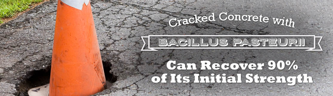Self-Healing Concrete Uses Bacteria to Repair Cracks